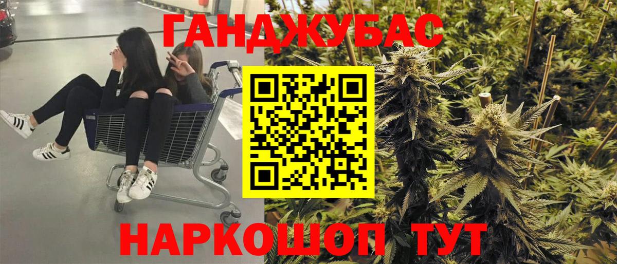 Бошки Шишки план  Вход с VPN  Ачхой-Мартан  Бошки Шишки сатива  Шишки марихуана THC 21% 