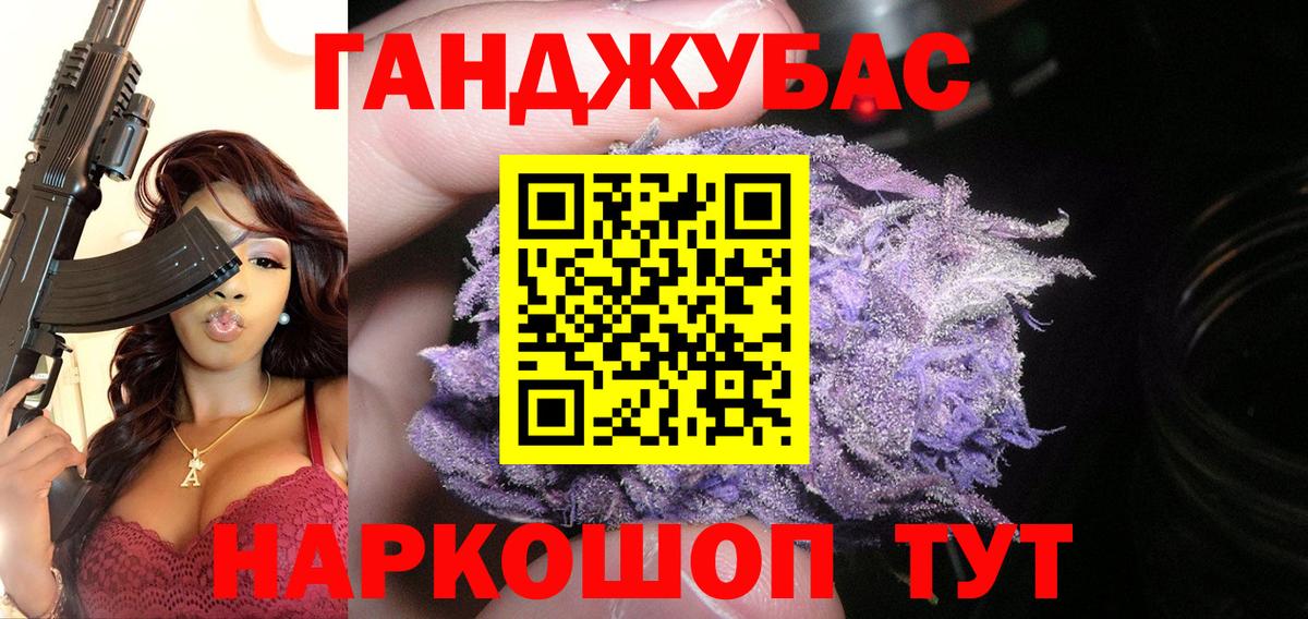 Конопля планчик Ачхой-Мартан
